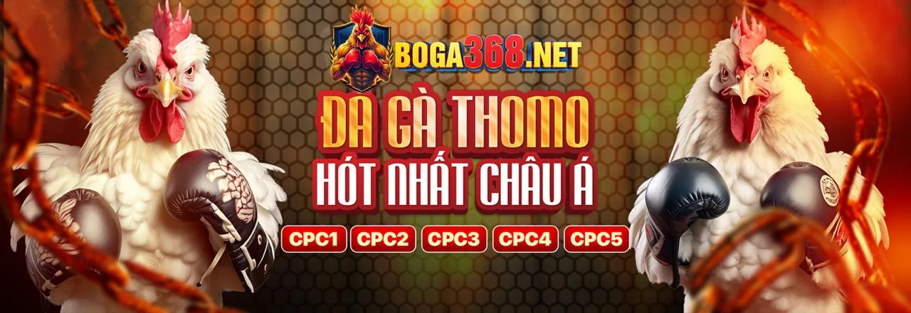 Đá gà a88 chính thức – Sân chơi đỉnh cao 2026
